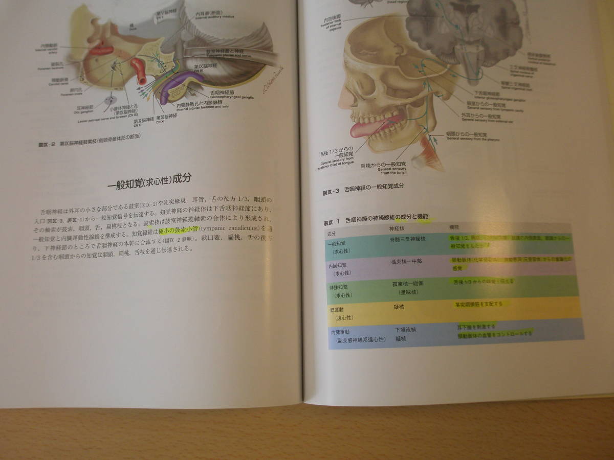 ビジュアルテキスト 脳神経　■医学書院■ _画像3