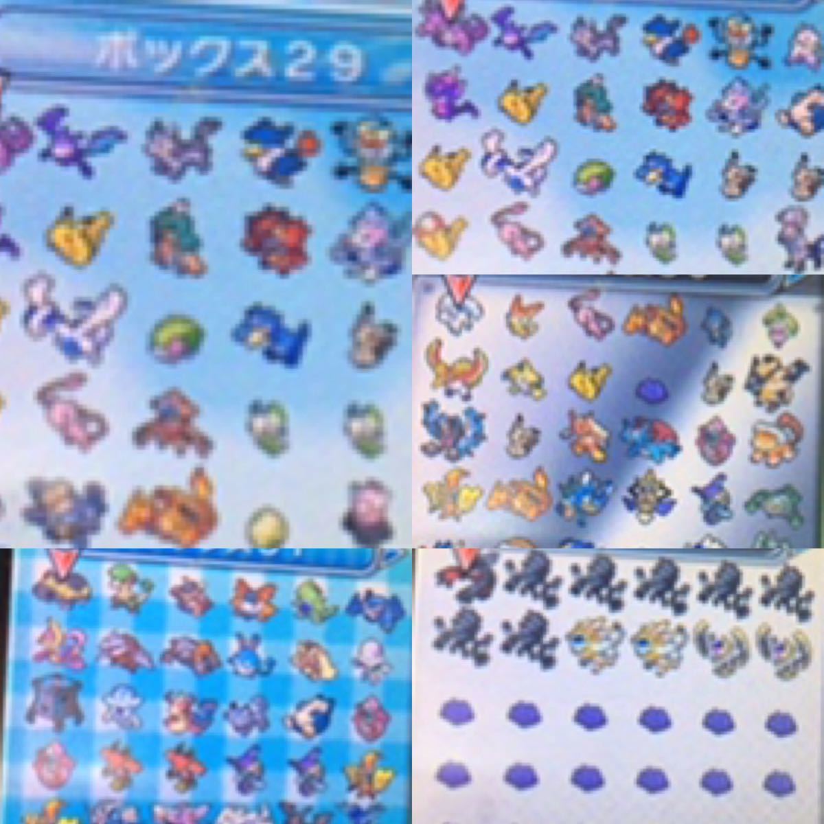 ポケットモンスター　ウルトラサン　全807種