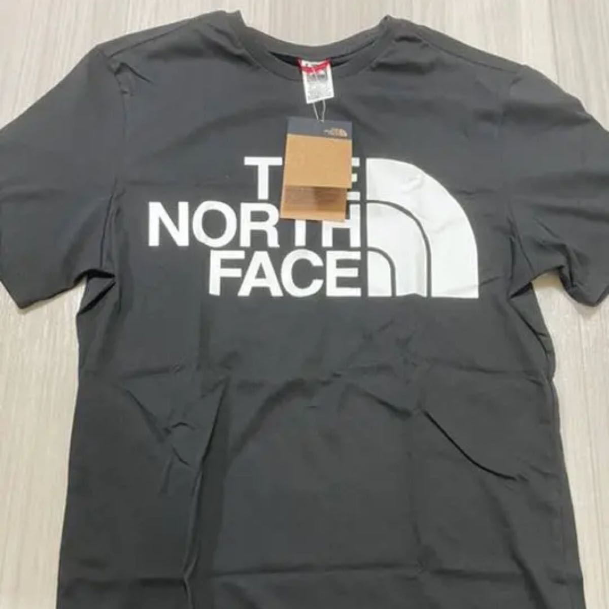 THE ノースフェイス Tシャツ
