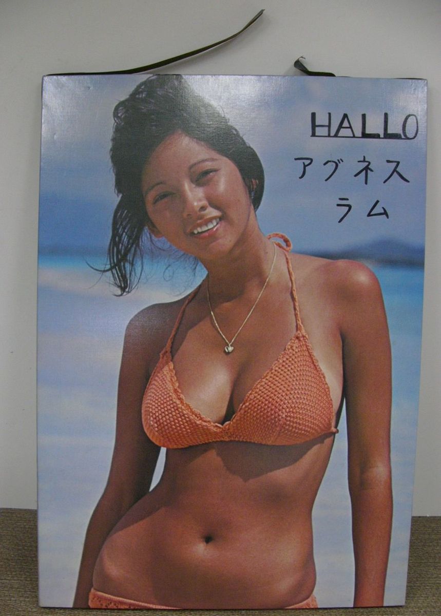 アグネスラム パネルの値段と価格推移は 7件の売買情報を集計したアグネスラム パネルの価格や価値の推移データを公開 アグネスラム パネルの値段と価格推移は 7件の売買情報を集計したアグネスラム パネルの価格や価値の推移データを公開