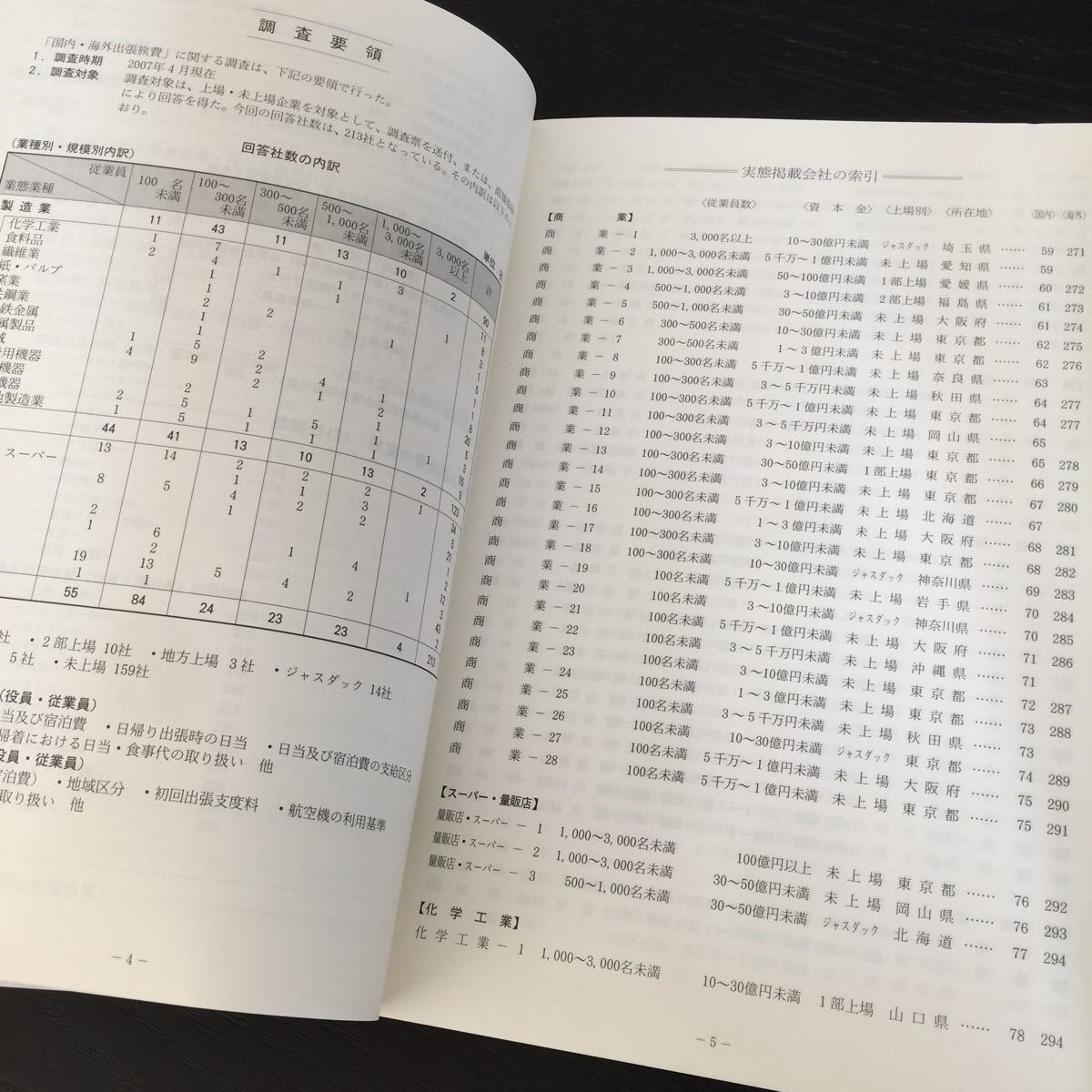 く13 国内海外旅費実態調査集 2007年版 旅行 出張 宿泊費 出張 日帰り 役員 従業員 旅行傷害保険 飛行機代 お金 平均 滞在日 会社 仕事 _画像9