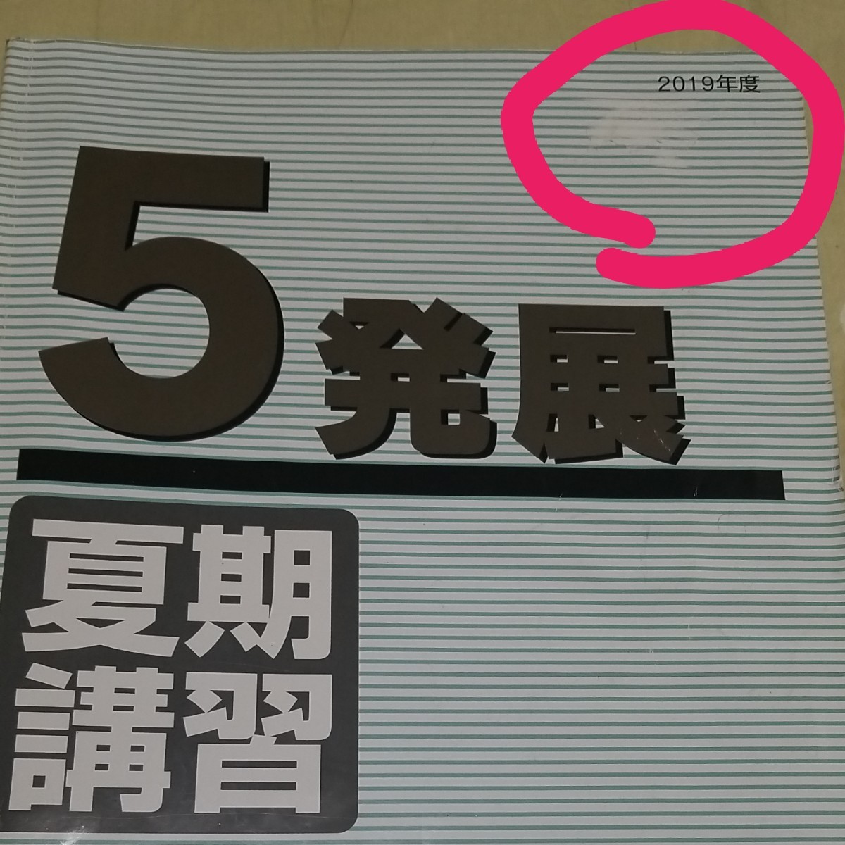 日能研 中学受験 5年生 春期講習 夏期講習 冬期講習 発展 解答 日能研 中学受験 5年生 春期講習 夏期講習 冬期講習 発展 解答