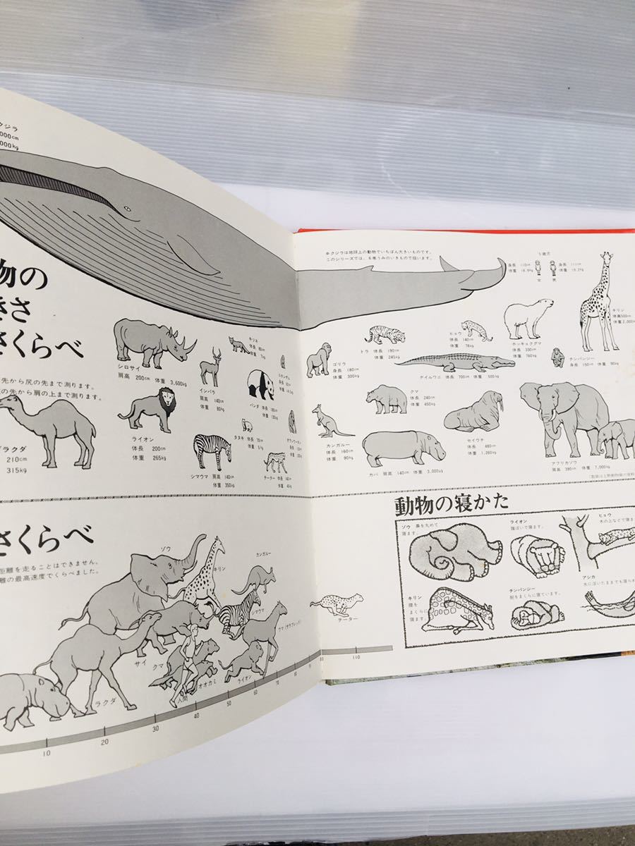 zaa-149 『やせいのどうぶつ』科学ブック〈1〉 伊東 員義 (著 zaa-149 『やせいのどうぶつ』科学ブック〈1〉 伊東 員義 (著