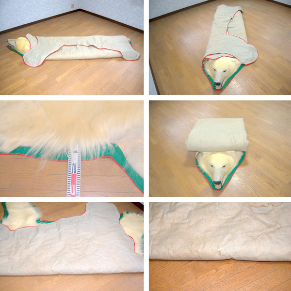 581】美品!! 全長 約240㎝ 白熊 シロクマ 北極熊 剥製・敷物 581】美品!! 全長 約240㎝ 白熊 シロクマ 北極熊 剥製・敷物