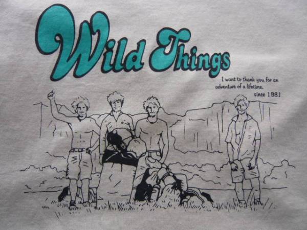 WILD THINGS × KATO Mauntain Tee 未使用 メンズ L_画像2