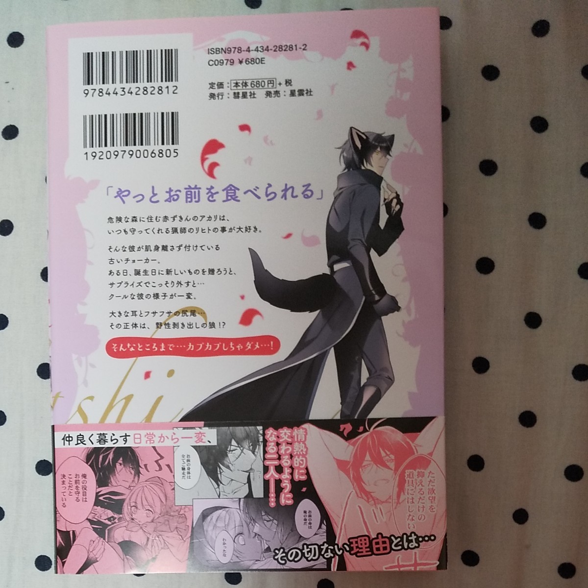 オオカミさんと私、つがいの掟 夜伽童話-赤ずきん-/くろん大工