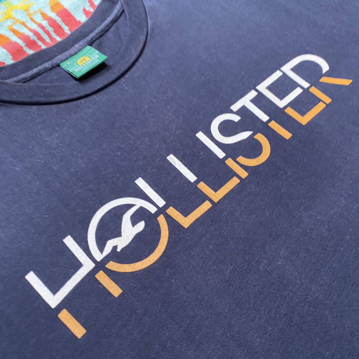 レア日本上陸前 旧タグ 雰囲気良好 HOLLISTERホリスター カリフォルニア ウエストコースト西海岸サーフStyleシーガル カモメ＆ロゴTシャツM_アバクロWash効いたトロリしなやかスムース