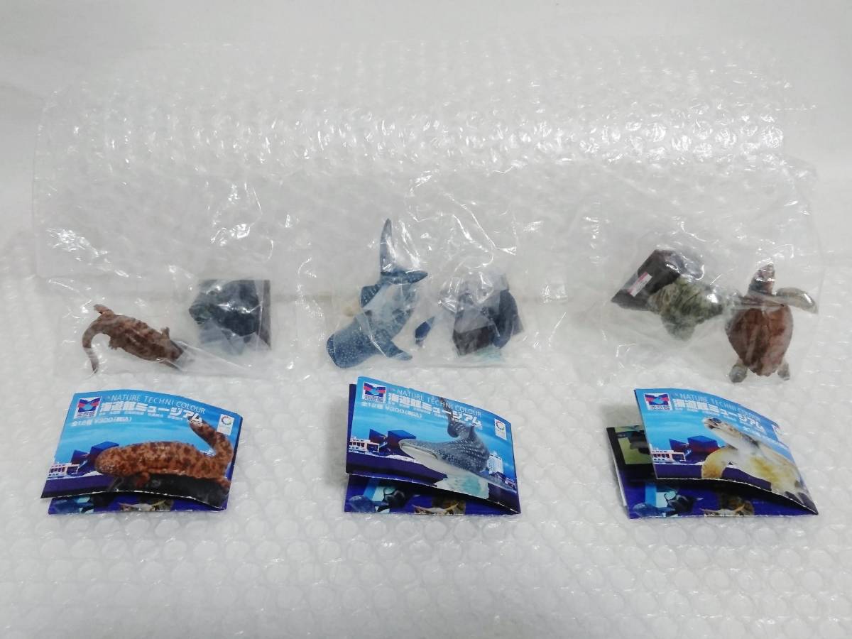 2023高品質ヤフオク! - 内袋未開封+廃盤品 KITAN CLUB 海遊館