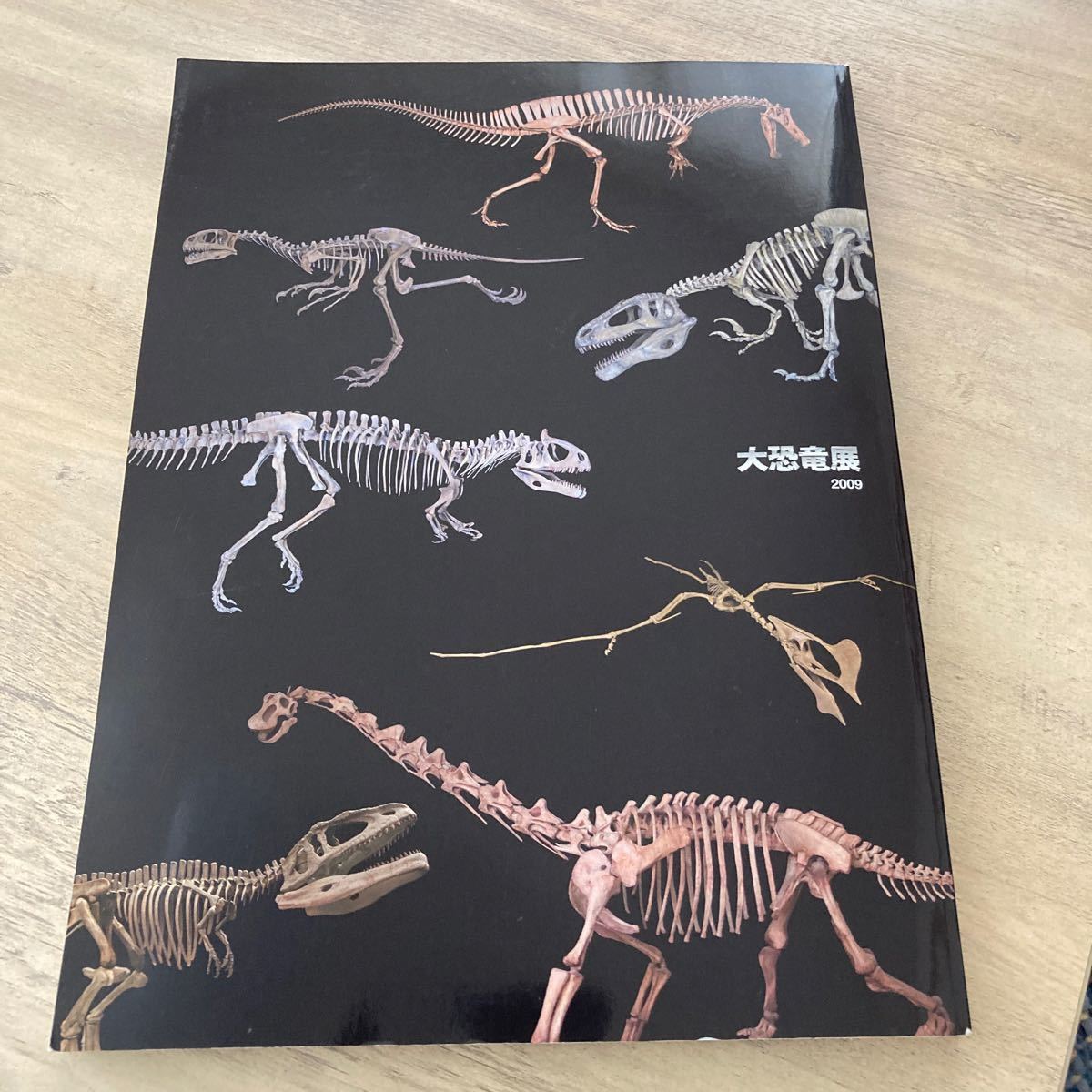 24時間以内発送！大恐竜展　オールカラー図鑑　パンフレット