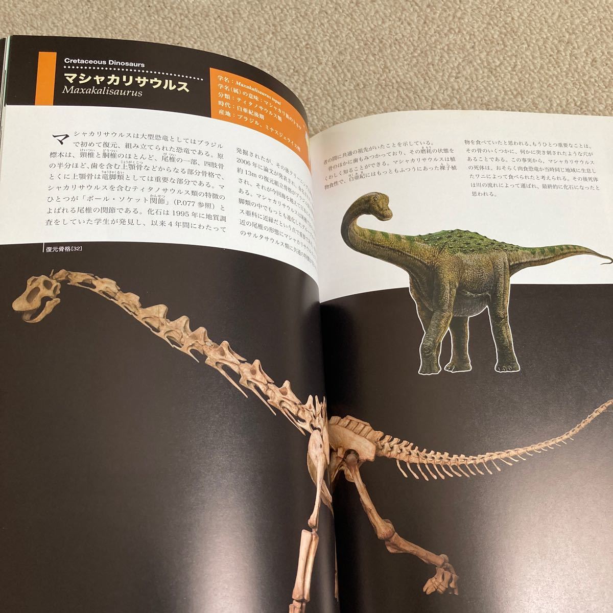 24時間以内発送！大恐竜展　オールカラー図鑑　パンフレット