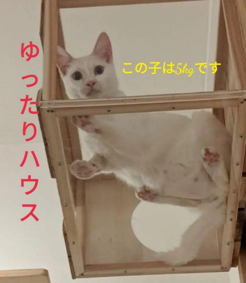 【猫カフェ】キャットタワー＆猫ハウス