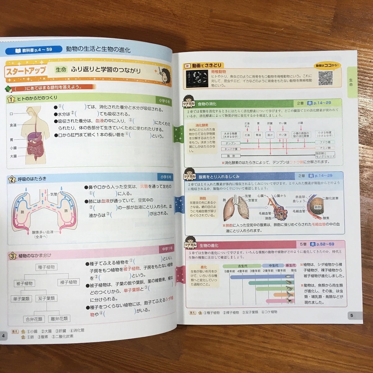 【送料無料】中学 教科書トレーニング 理科2年 啓林館版 トレーニングBOOK/単語カード/まとめシート/予想問題/解答集/赤シート 新興出版社