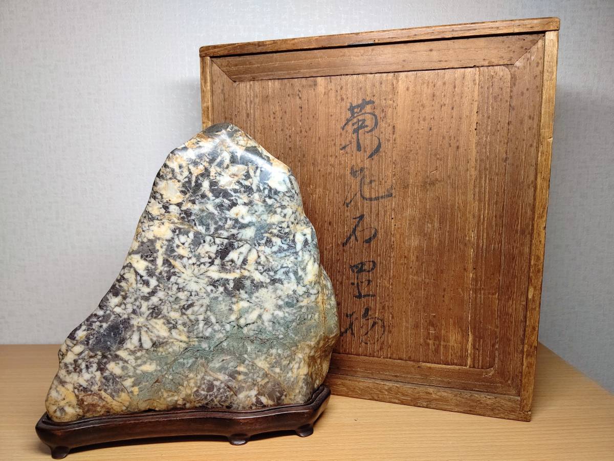 花吹雪・白菊 2.1kg 菊花石 鑑賞石 自然石 原石 紋石 花紋石 水石 置石