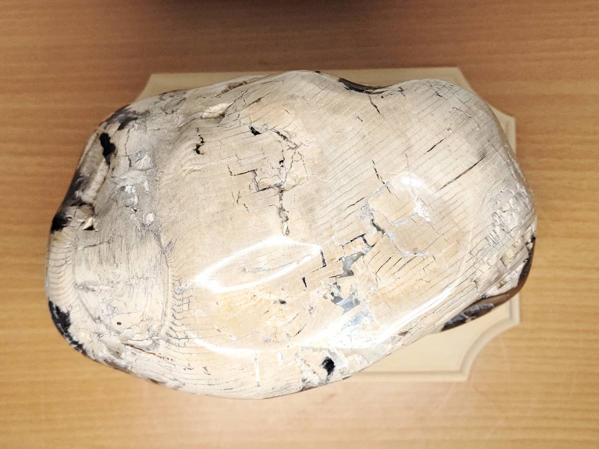 大型】◇6.4kg◇ 珪化木 ジャスパー 原石 碧玉 風水 開運 誕生石 大型】◇6.4kg◇ 珪化木 ジャスパー 原石 碧玉 風水 開運 誕生石