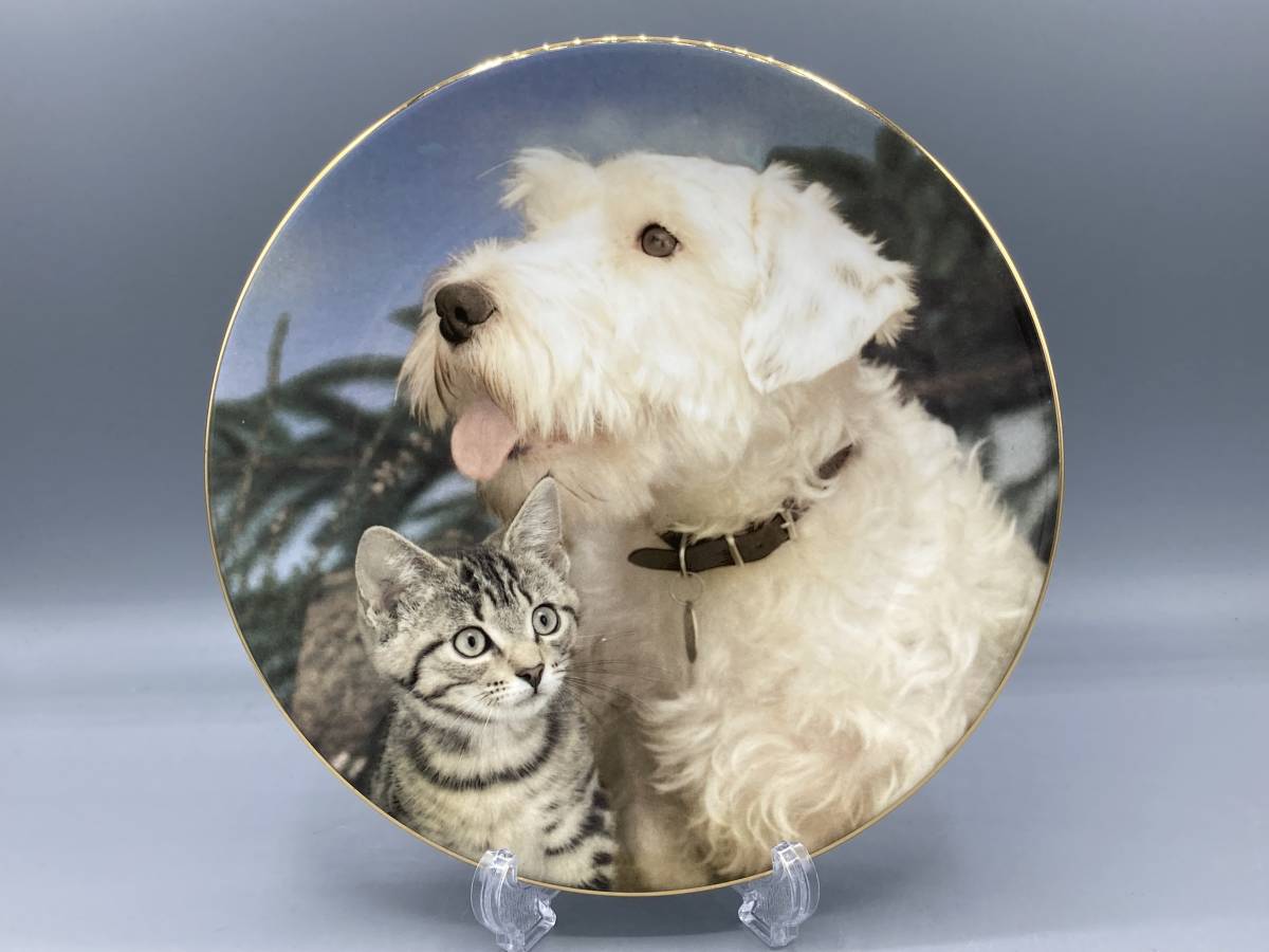 ロイヤルウースター 犬 猫 Tinker and Tam' 直径21cm 飾り皿 絵皿 皿 ⑬_画像1