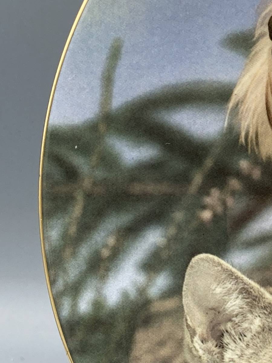 ロイヤルウースター 犬 猫 Tinker and Tam' 直径21cm 飾り皿 絵皿 皿 ⑬_画像6