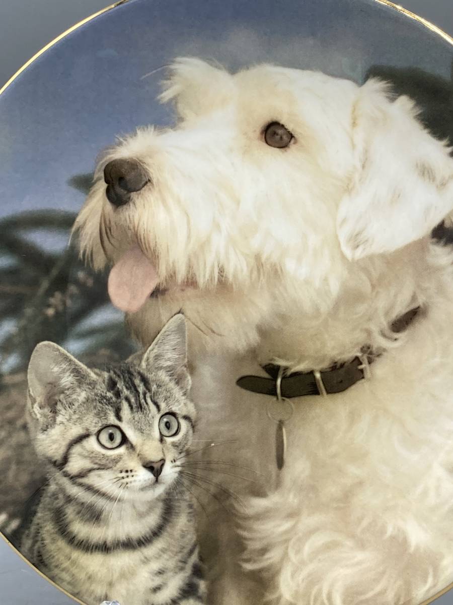 ロイヤルウースター 犬 猫 Tinker and Tam' 直径21cm 飾り皿 絵皿 皿 ⑬_画像2