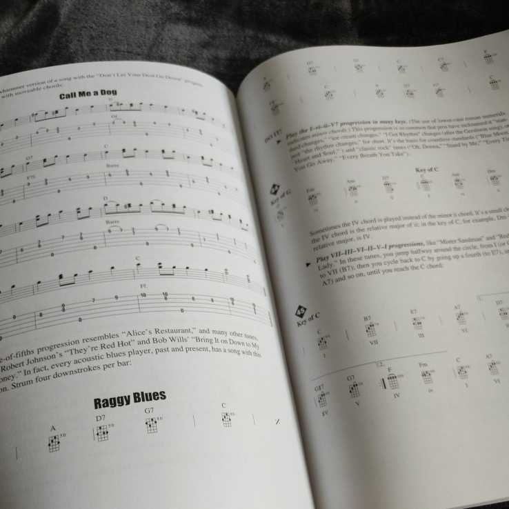5弦バンジョー 教則本（web音源、TAB付き 輸入教則本 新品未使用）送料無料ー