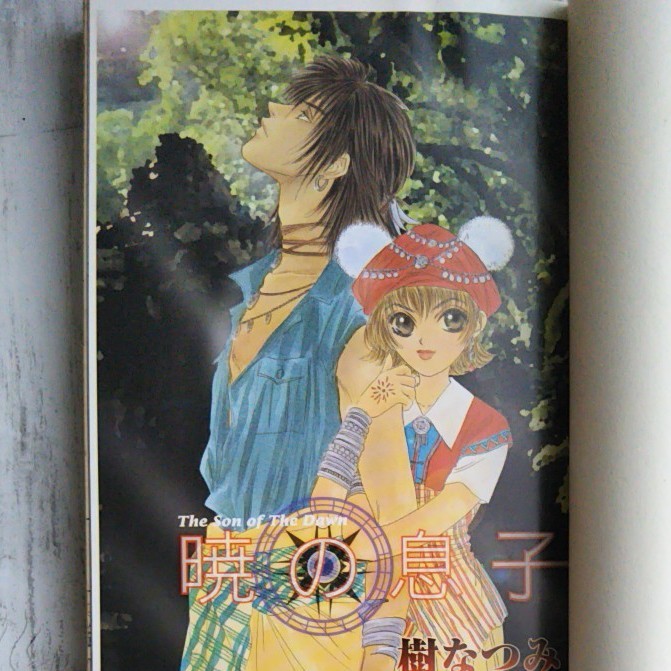 樹なつみ 花咲ける青少年 花とゆめコミックス 暁の息子 アフタヌーン 講談社 少女漫画 青年誌 全巻 セット アニメ化 送料込み