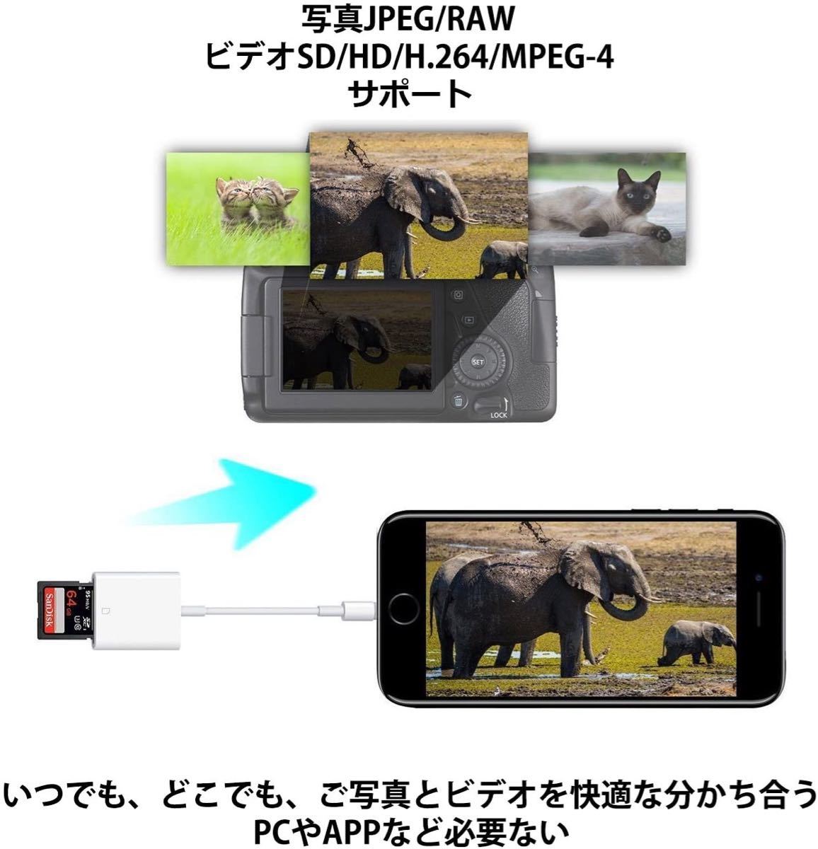 iPhone iPad 専用 microメモリSDカードリーダー