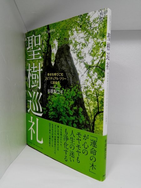 聖樹巡礼 幸せを呼びこむスピリチュアル・ツリーに出会う 杉原梨江子/PHP研究所【即決】_画像1