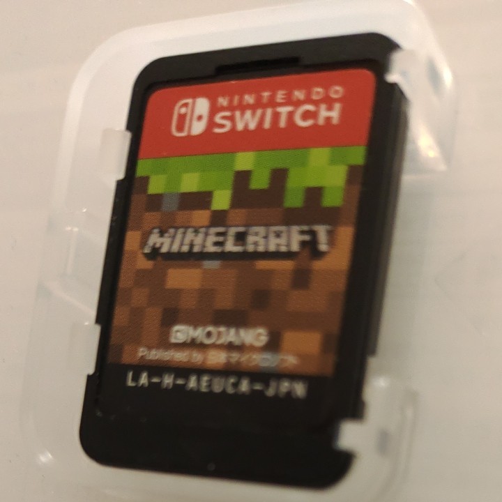 Nintendo Switch　マインクラフト