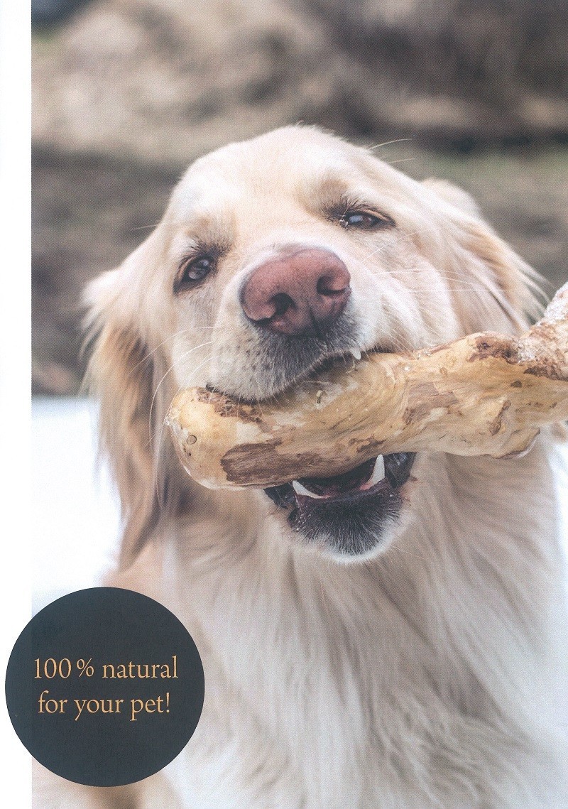 CANOPHERA CHEW STICK FOR DOG size XS( собака для чистка зубов палочка 100% натуральный материалы маленький размер собака предназначенный 2 шт. комплект )