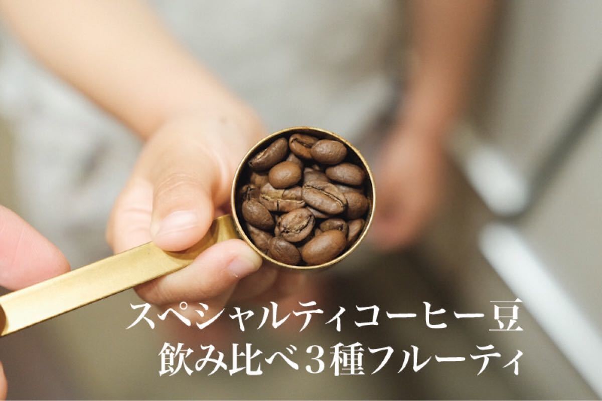 コーヒー豆 飲み比べ3種 フルーティ スペシャルティコーヒー Rabbit village