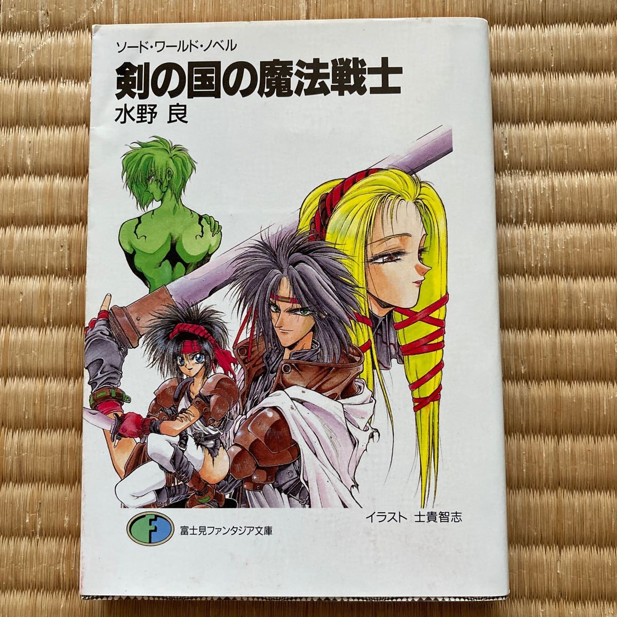 湖岸の国の魔法戦士 剣の国の魔法戦士　富士見ファンタジア文庫／水野良 (著者)