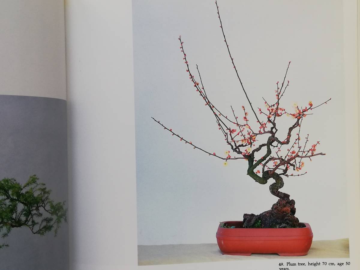 The art of Chinese Miniature Landscape　盆景 Penjing Penzai 盆栽 Bonsai_画像8