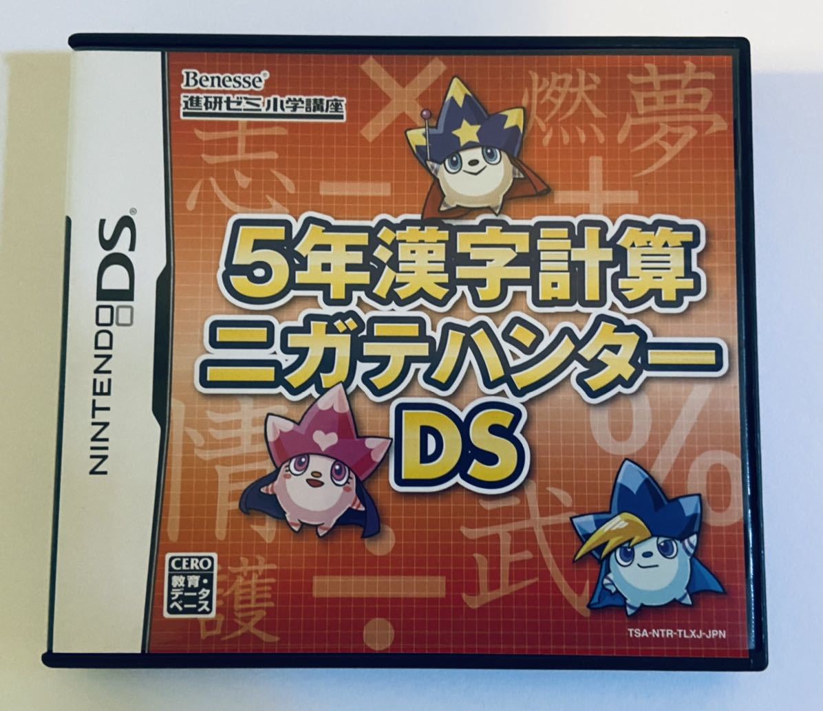 Nintendo 任天堂 ニンテンドー DSソフト 進研ゼミ 5年漢字計算ニガテ
