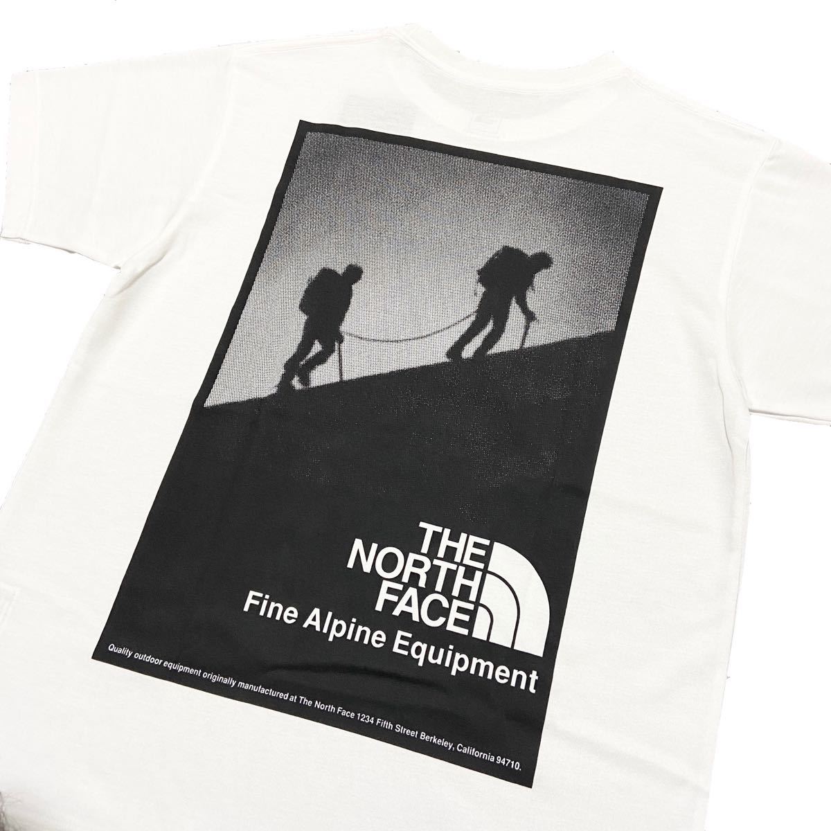 THE NORTH FACE ノースフェイス アルパイン バックプリント Tシャツ