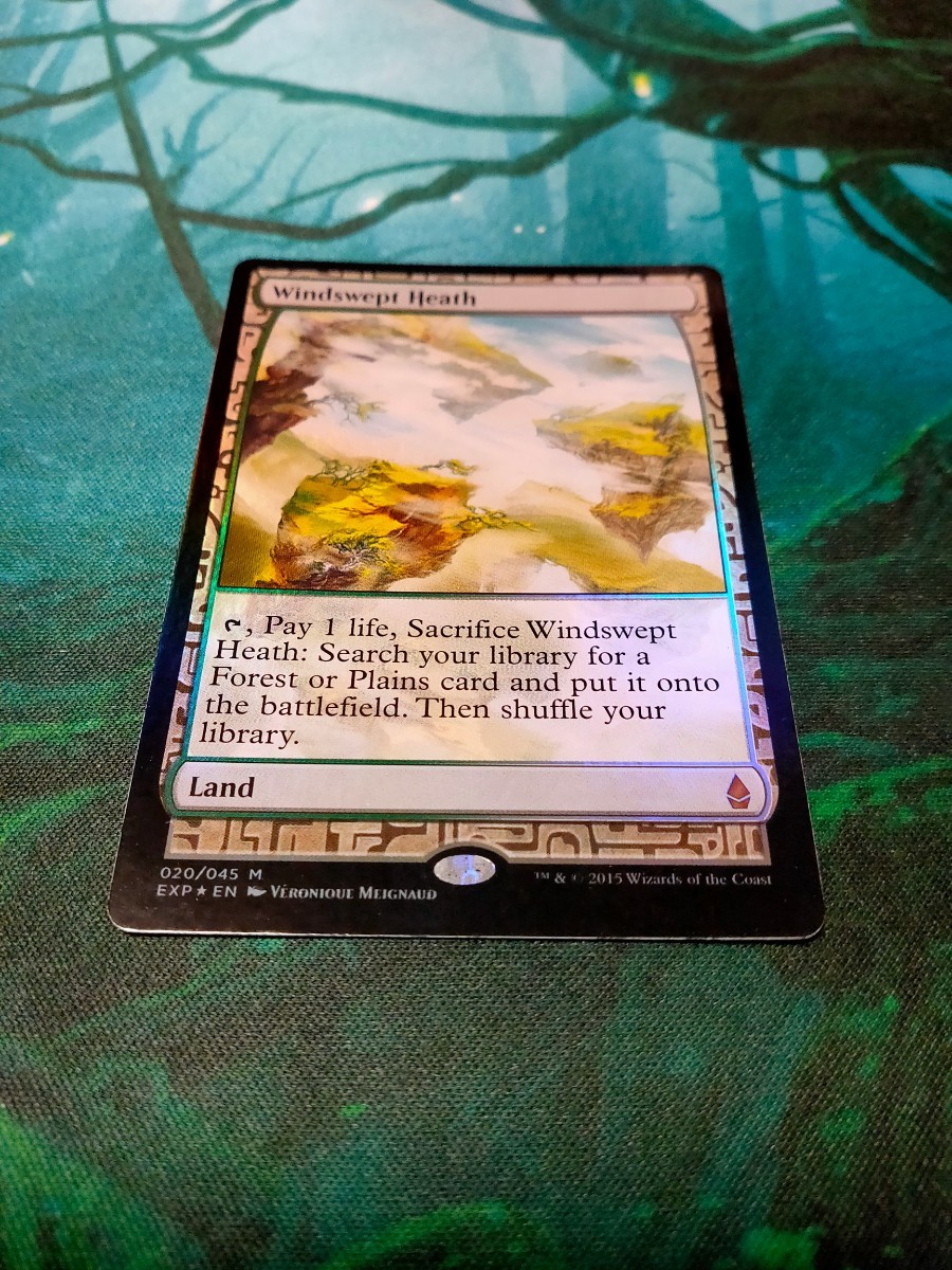 Paypayフリマ Mtg Exp 吹きさらしの荒野 Nm 英foil1枚セット Mtg エクスペディション Foil