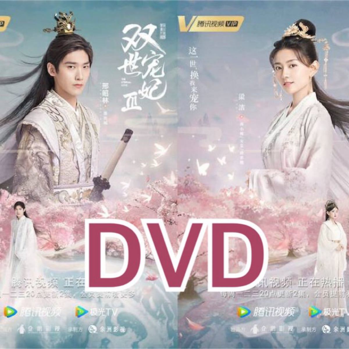 中国ドラマ「若様私がお守りします」DVD全話 | 「若様!私がお守りし