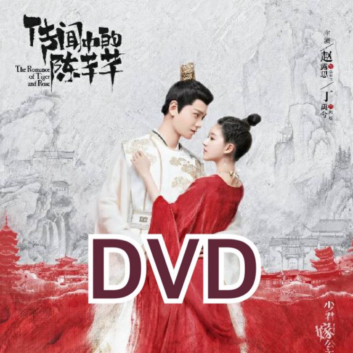 中国ドラマ　花の都に虎（とら）われて　DVD