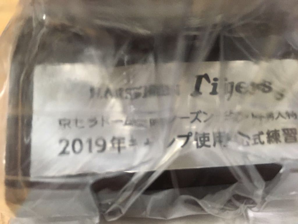 阪神タイガース 2018年&2019年 京セラドームシーズンチケット特典 2018 