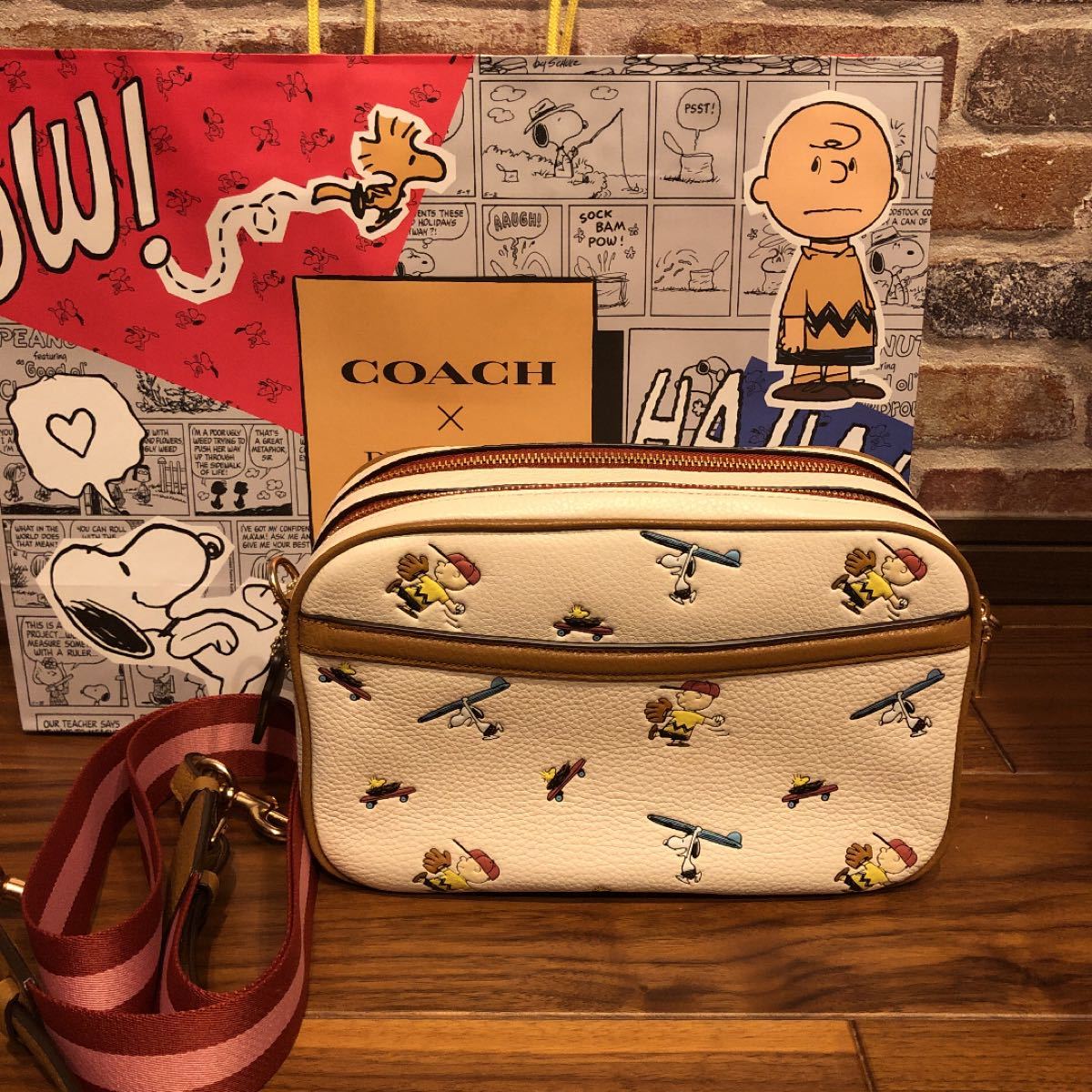 coach PEANUT ダブルジップ ショルダーバッグ　日本限定