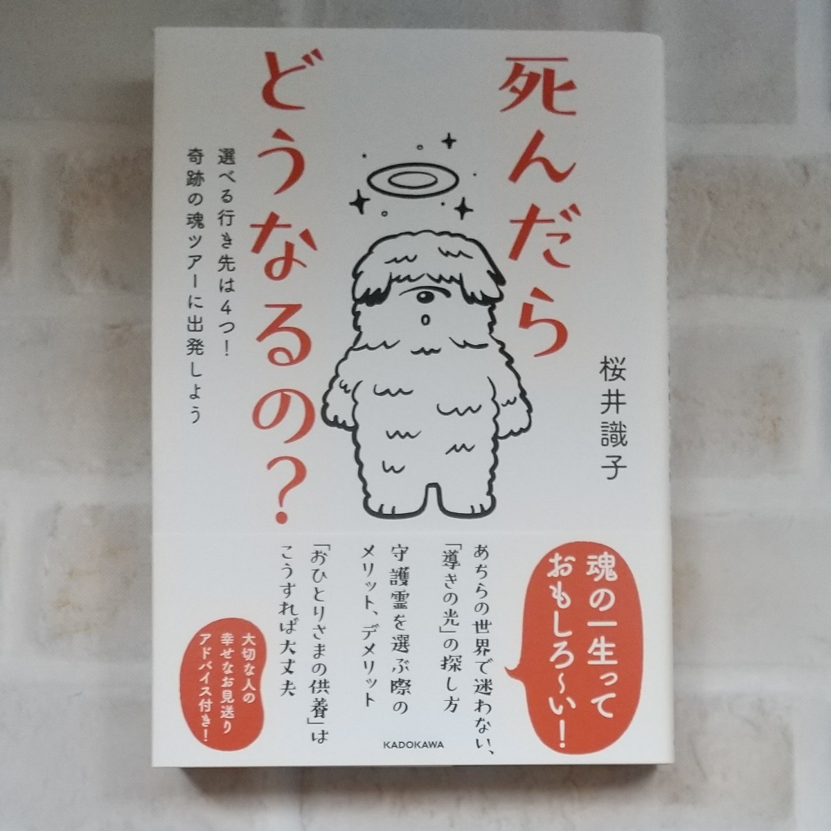 Paypayフリマ 死んだらどうなるの 選べる行き先は4つ 奇跡の魂ツアーに出発しよう 桜井識子 Paypayフリマ 死んだらどうなるの 選べる行き先は4つ 奇跡の魂ツアーに出発しよう 桜井識子