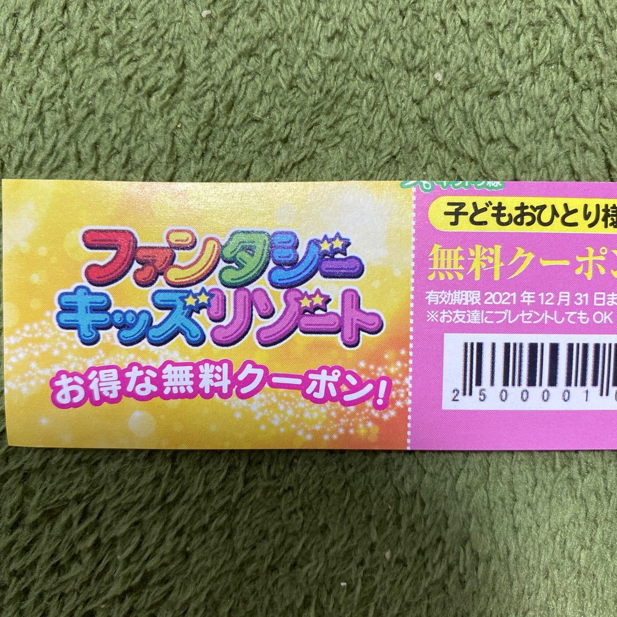 超格安一点 2 20迄価格 ファンタジーキッズリゾート 入場券 12枚