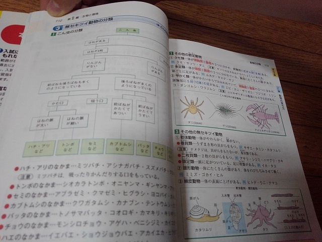 ■小学校問題集セット■　３冊セット　「特進クラスの理科」「自由自在 算数　高学年」「考える算数　図形と計量」_画像5