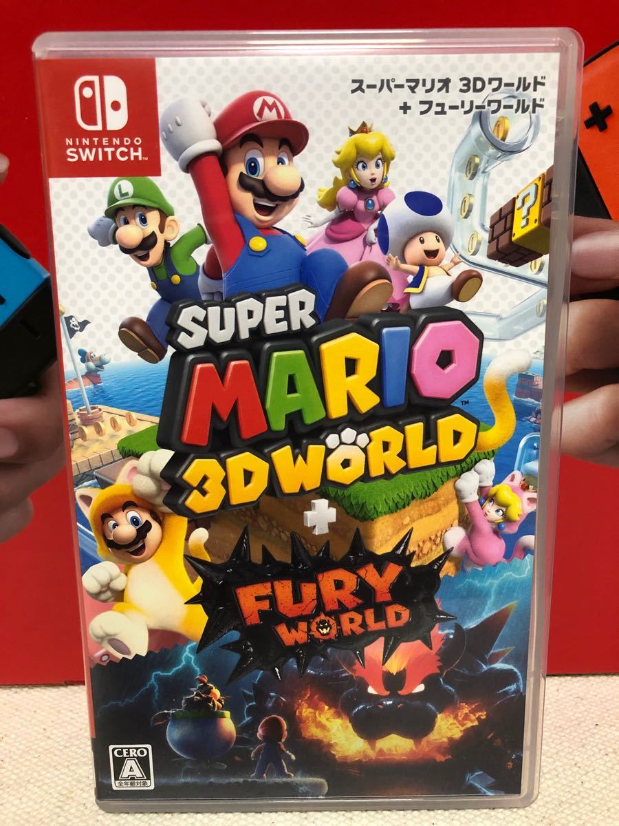 マリオワールド　 Nintendo Switch