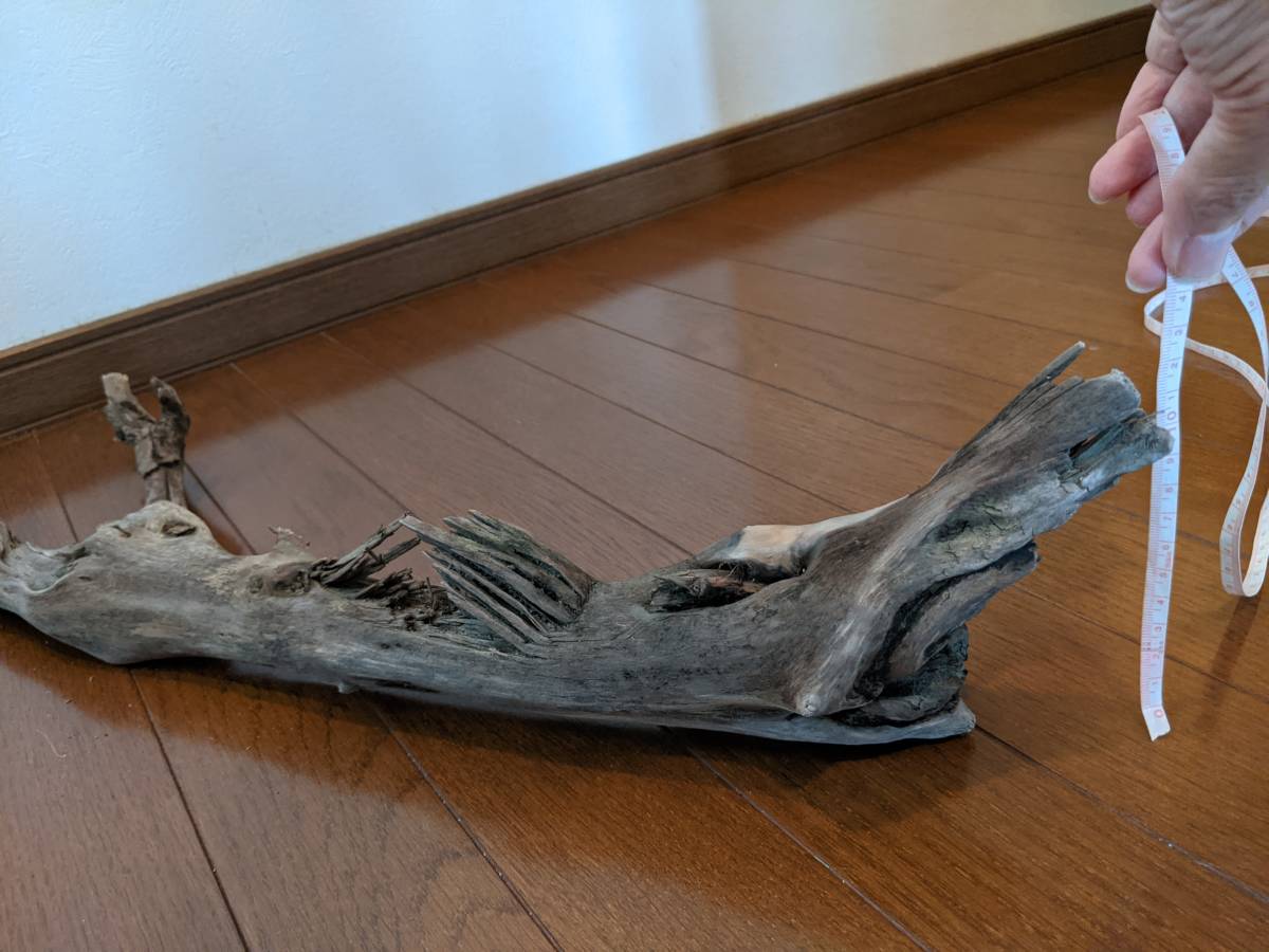 * натуральный коряга аквариум 1 пункт предмет аквариум произведение искусства искусство 64×18×14cm Yamato река устье рептилии интерьер большой ветка 
