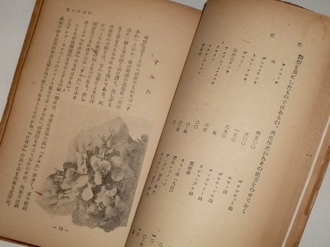  Showa era 23 year flower. .... luck . three . writing company Showa Retro war latter term flavoring plant chemistry rose jasmine sumire Akashi a ylang-ylang another perfume style .