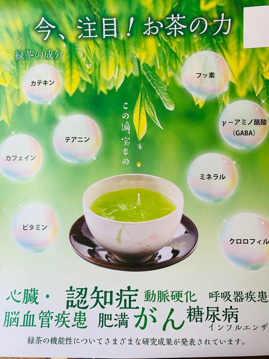 深むし茶　静岡茶100g×4本