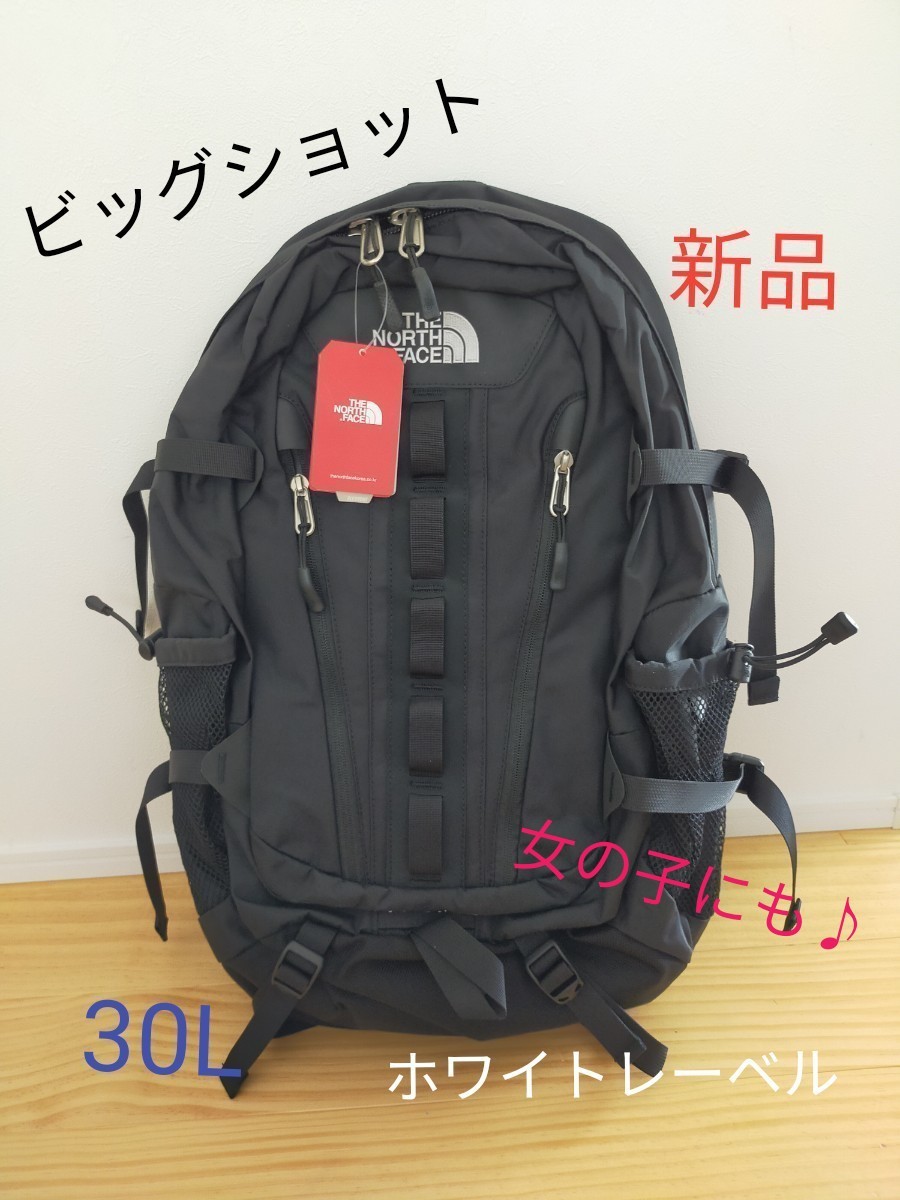 [新品]ノースフェイス リュック バックパック　ビッグショット　登山キャンプ　大容量 THE NORTH FACE  30L 韓国