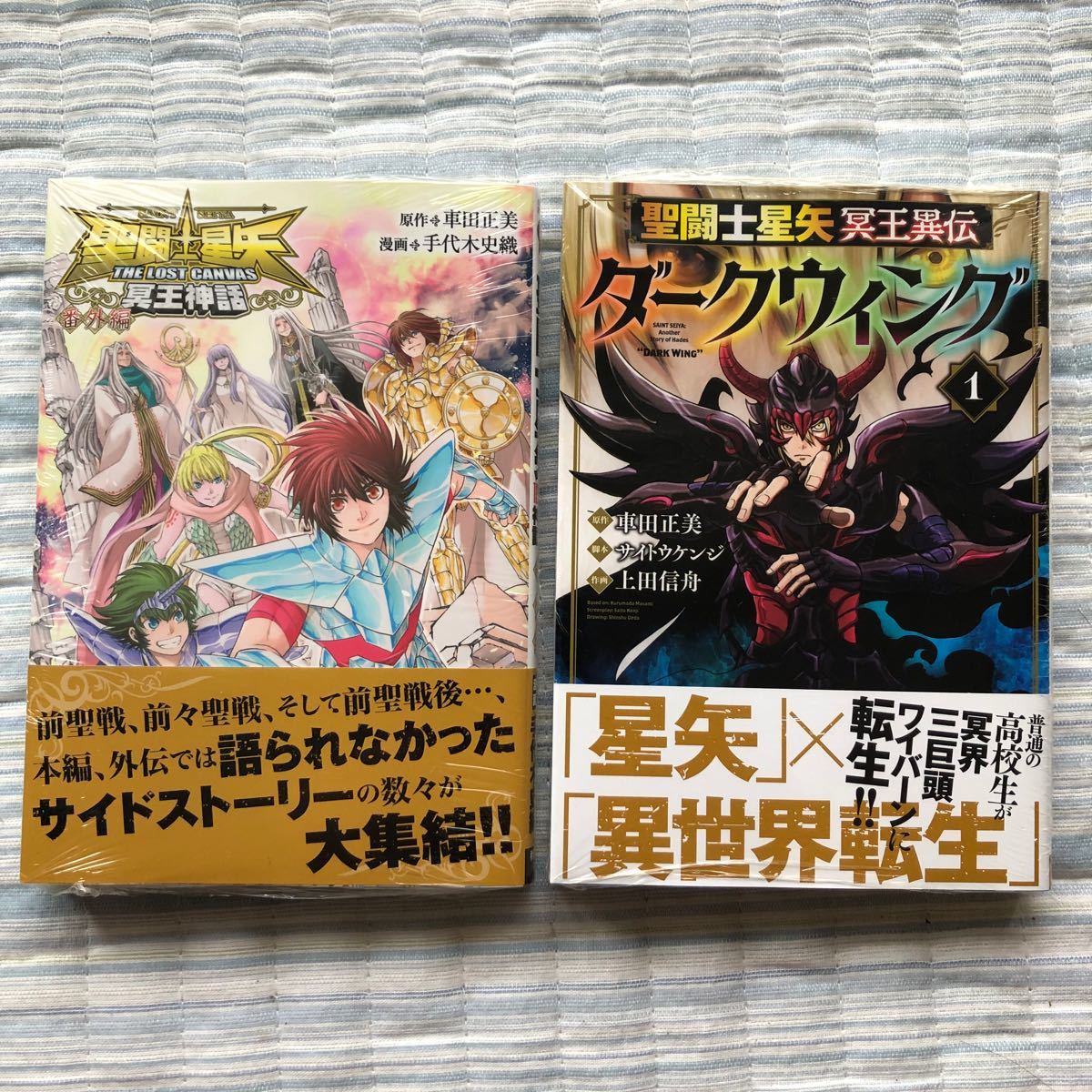 Paypayフリマ 聖闘士星矢 The Lost Canvas番外編 ダークウィング 新刊2冊 Paypayフリマ 聖闘士星矢 The Lost Canvas番外編 ダークウィング 新刊2冊