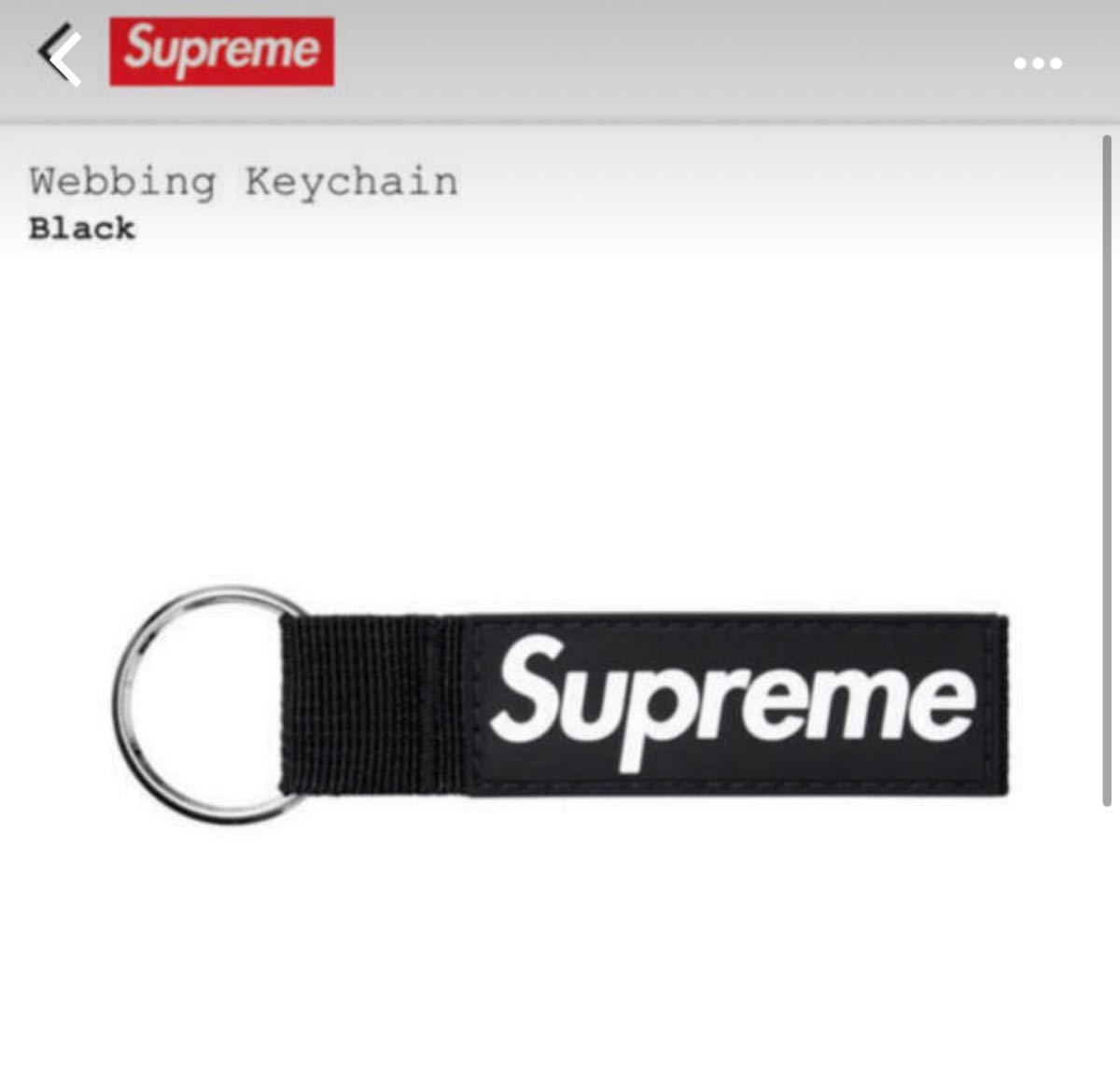 Supreme シュプリーム  20F/WWebbing Keychain