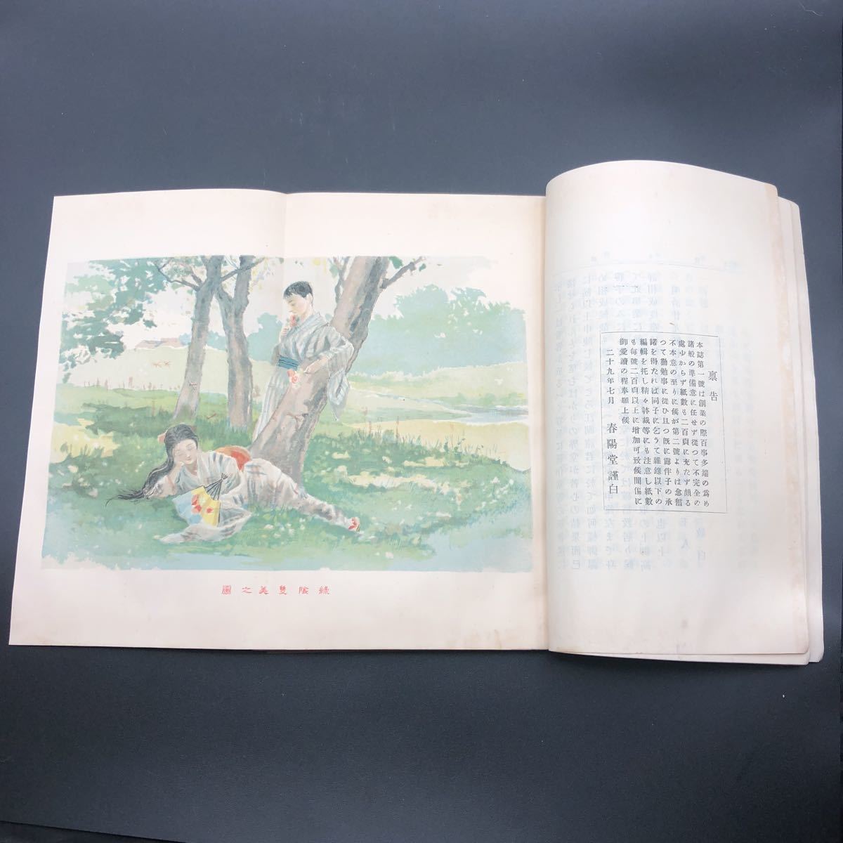 明治時代の名作「新小説」創刊号　春陽堂　第一號　口絵一葉_画像4