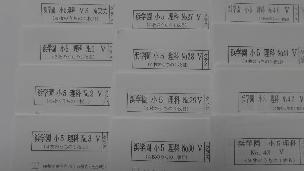浜学園 (☆入荷☆) 小5 理科 復習テスト Vクラス 全てVクラス 学習、 浜学園 (☆入荷☆) 小5 理科 復習テスト Vクラス 全てVクラス 学習、