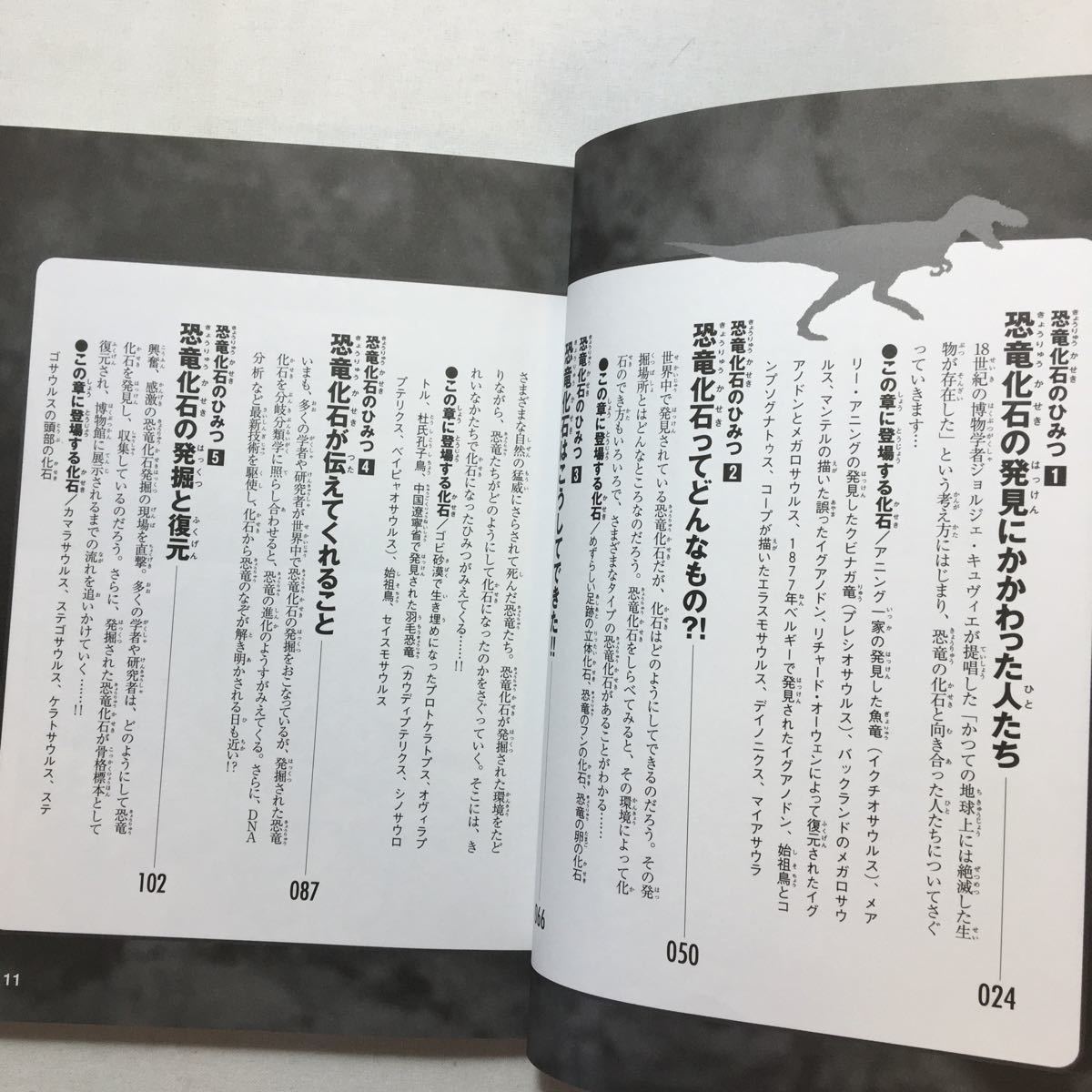 zaa-205! dinosaur fossil. secret ( Gakken ... new * secret series ) money . one (..) small marsh hing . one ( illustration ) Gakken plus separate volume 2007/7/1